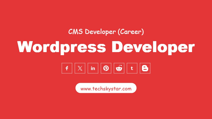 Wordpress Web Developer