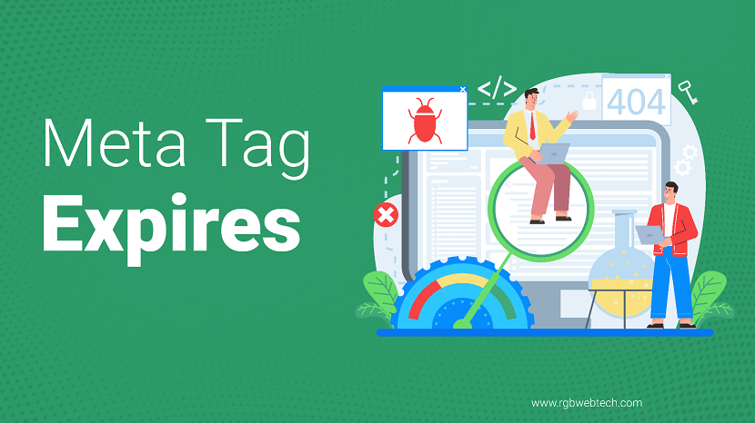 Meta Tag Expires