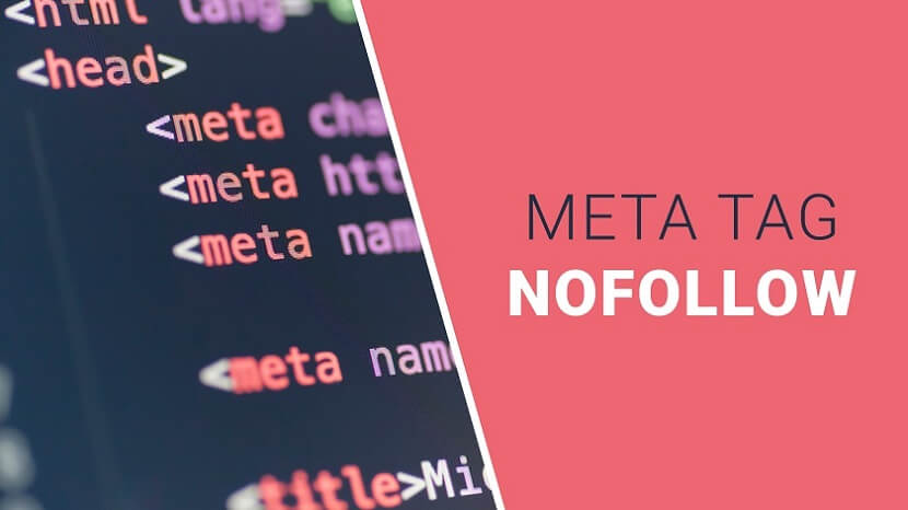 Noindex Nofollow Meta Tag